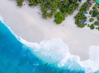 Aerial view of a tropical white sand beach where turquoise ocean waves meet palm trees.