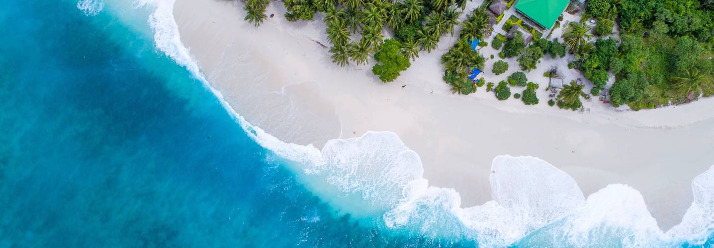 Aerial view of a tropical white sand beach where turquoise ocean waves meet palm trees.