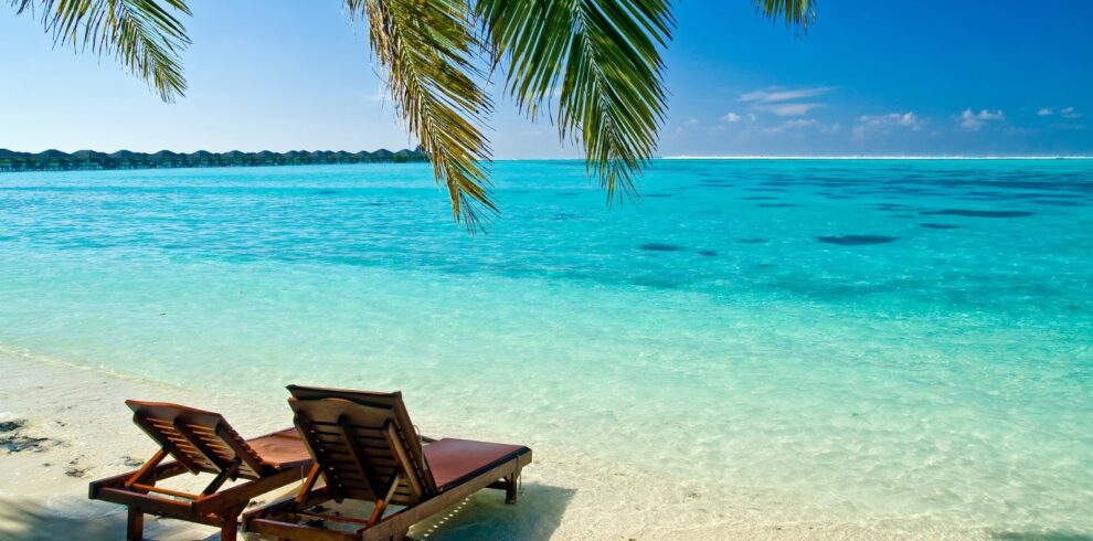 Two lounge chairs on a white sand beach overlook clear turquoise water framed by a palm tree.