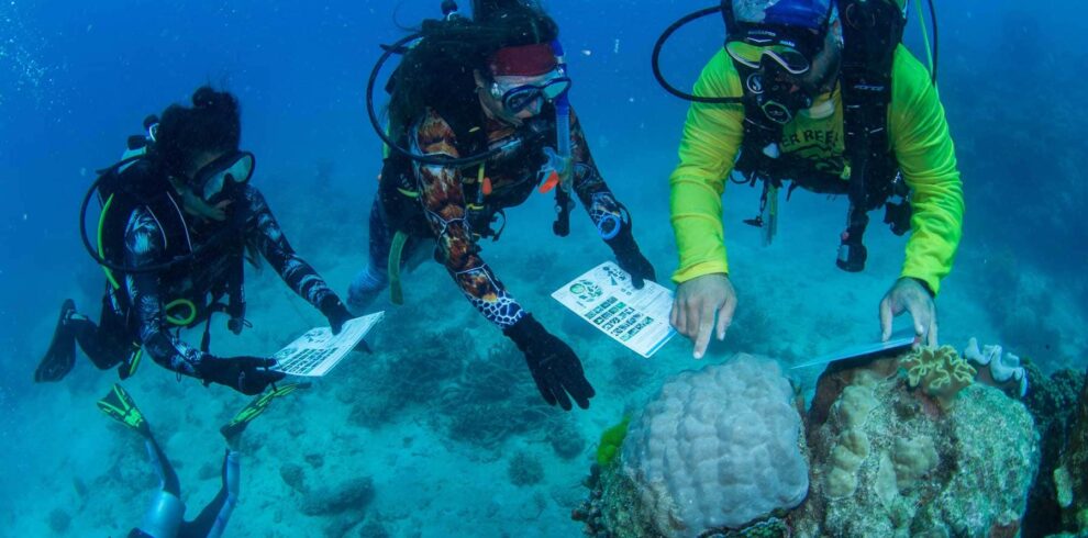 Three scuba divers work underwater near a coral reef, using slates to record data for marine conservation or research.