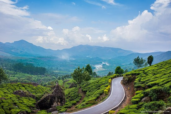 Winding road cutting through the terraced tea estates of Munnar, Kerala.