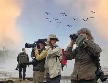 Bird_Watching_Tours