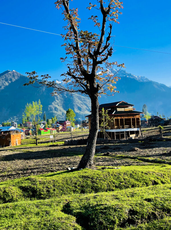 beautiful-landscape-arang-kel-kashmir-with-green-fields-local-houses-with-hidden-clouds