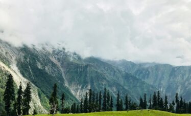 A lush green meadow with pine trees and mist-covered mountains under a cloudy sky.