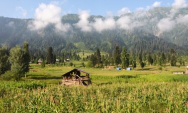 A rustic wooden shed stands in a lush green valley at the foot of forested mountains partially veiled by low-hanging clouds.