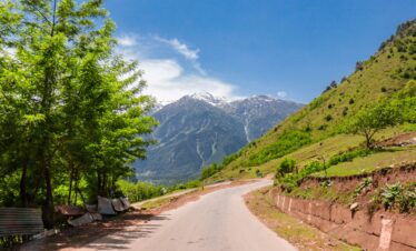 A scenic mountain road lined with trees leading toward snow-capped peaks under a clear blue sky.