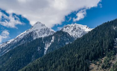 Snow-covered mountain peaks with dense pine forests under a bright blue sky with scattered clouds.