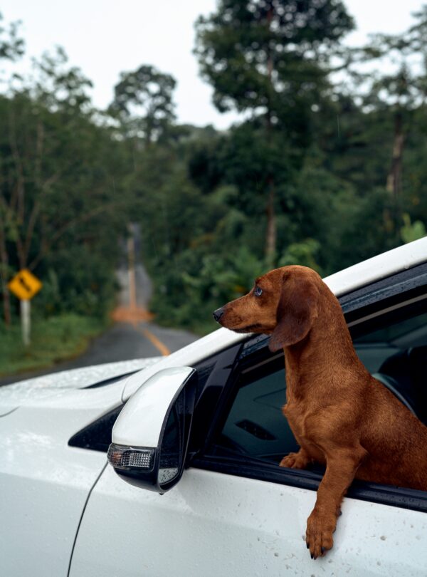 max-bvp-fmGTjWfqCFU-unsplash