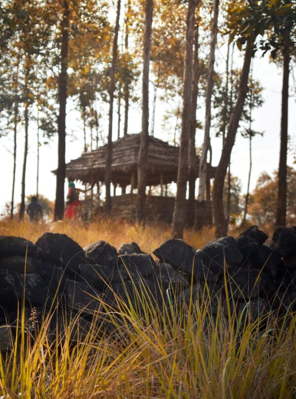 tony-sebastian-KT0Y9UGMM5s-unsplash